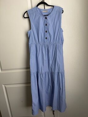 Everlane Light Blue Striped Sleeveless Midi Dress